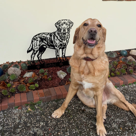 Labrador Bobbi neben seinem personalisierten Metallporträt, mittlere Größe ca. 60 cm, im Garten