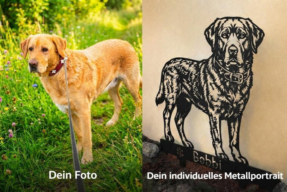 Der Hund – Unser treuester Begleiter und ein Freund fürs Leben