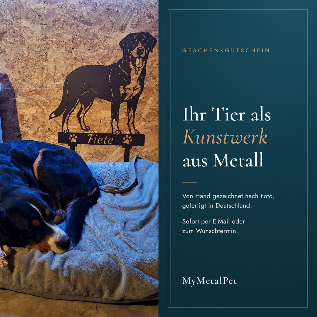 Geschenkgutschein von MyMetalPet: Hund Fiete liegt auf seinem Kissen vor seinem Metallporträt