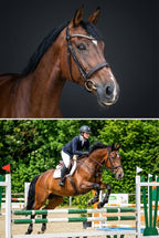 Persönliches Metallportrait Ihres Pferdes